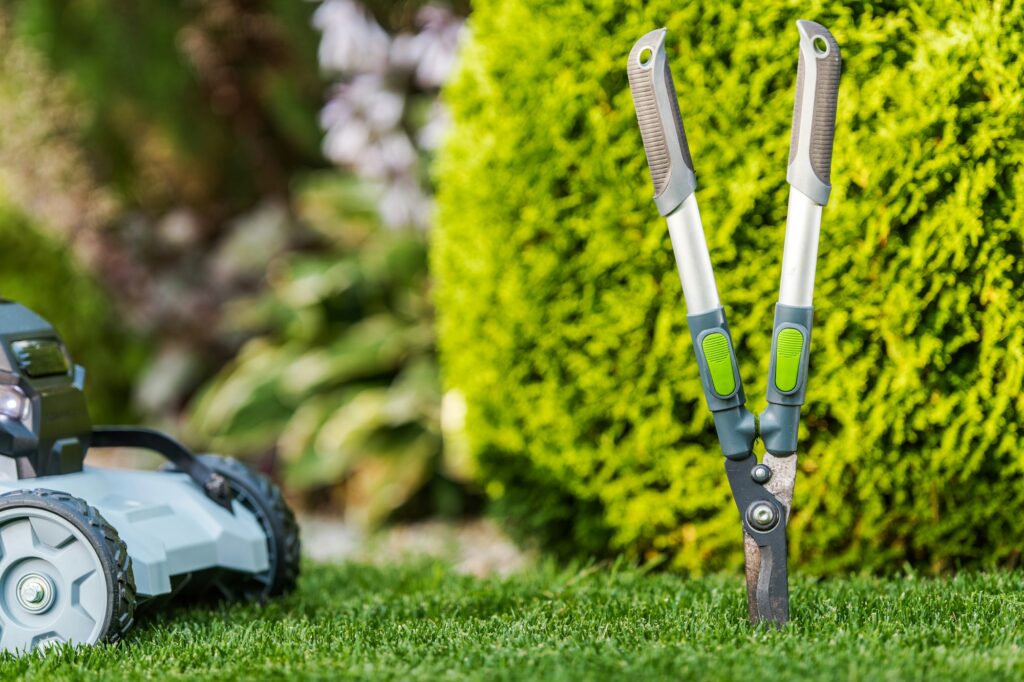 Garden Tools and Summer Backyard Maintenance Theme
